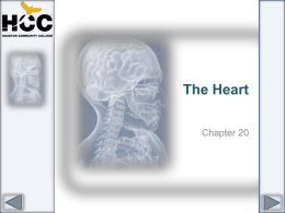 Chapter_20_Heart