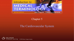 Cardiovascular System PowerPoint ch 5