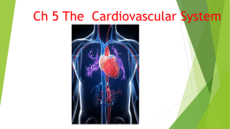 Ch 5 The Cardiovascular System