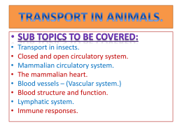 Transport in animals - gesci
