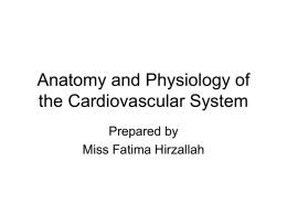 2195Anatomy and Physiology of the Cardiovascular System
