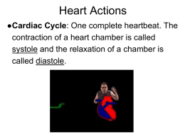 Heart Actions - North High School