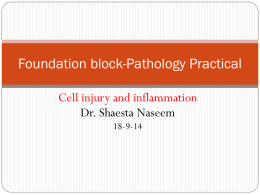 cell injury practical I (Fixed).