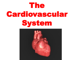The Cardiovascular System - Elmwood Park Memorial High School