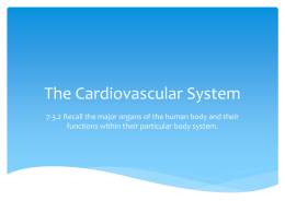 The Cardiovascular Systemx