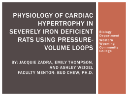 Physiology of Cardiac Hypertrophy in Severely Iron Deficient Rats