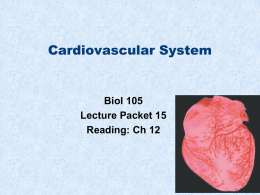 NVC_Bio105_lect12_cardio_BLMx