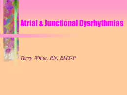 AtrialJunctional_1_