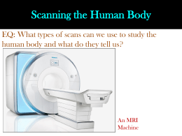 Scanning the Human Body