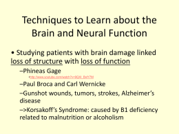 Techniques to Learn about the Brain and Neural Function
