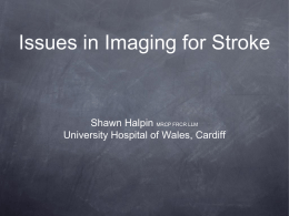 Issues in Imaging for Stroke