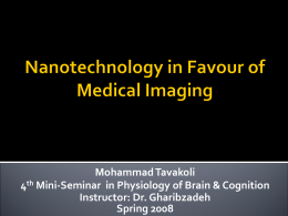 Mohammad Tavakoli - Nanotechnology