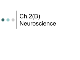 02B_Neuroscience