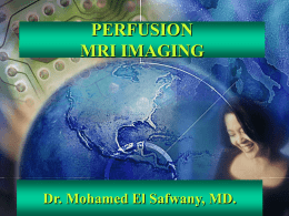PERFUSION MRI IMAGING Dr. Mohamed El Safwany, MD.