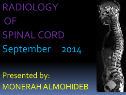 L2-Spinal Cord 20142014-11