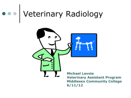 Veterinary Radiology - Mr. Lavoie`s Science Webpage