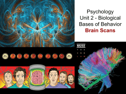 Psychology Unit 2 - Biological Bases of Behavior Brain Scans