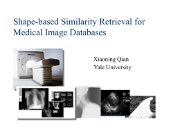Shape Indexing and Its Optimization in Medical Image Databases