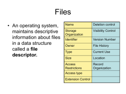 File Storage Organization