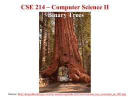 CSE 114 – Computer Science I Lecture 1: Introduction
