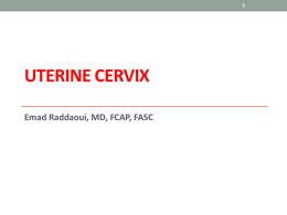 Pathology of Cervix Carcinoma