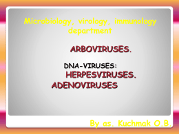 Adenoviruses_Herpesviruses