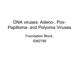 DNA viruses: Adeno-, Pox-Papilloma