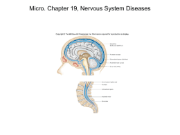 Micro. Chapter 19, Nervous System Diseases