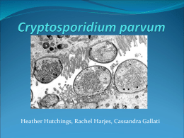 Cryptosporidium parvum - Winona State University