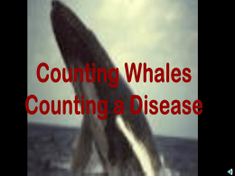 Counting WhalesCounting a Disease
