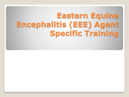 EEE Agent Specific Training