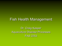Fish Health Management