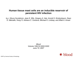 Mature MCs derived in vitro from CD34+ adult hematopoietic