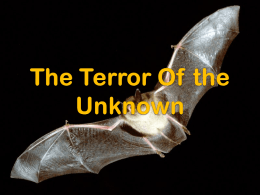 the terror of the unknownx