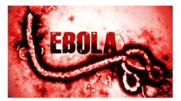 ebola discussion