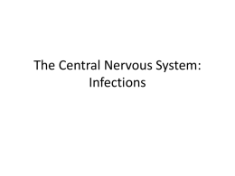 12-11-13 The Central Nervous System fections