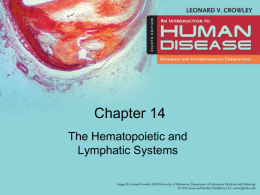 Hematopoietic_and_Lymphatic