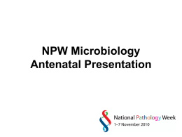 Microbiology Antenatal Screening - UCD National Virus Reference