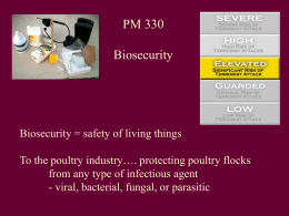 Biosecurity – Preventing disease in poultry