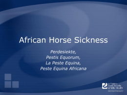 African Horse Sickness - The Center for Food Security and Public