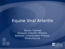 Equine Viral Arteritis - The Center for Food Security and Public Health