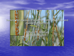 Tracking rust diseases of wheat for better disease management and