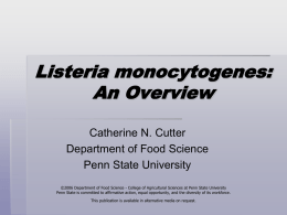 Listeria monocytogenes : An Overview