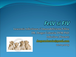 FelV si FIV - CYF MEDICAL DISTRIBUTION
