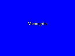 Meningitis - Creighton University :: Medical School