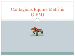 Contagious Equine Metritis