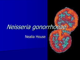 House-Final-Gonorrhea