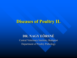 Diseases of Poultry II.