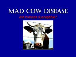 Mad Cow Disease - Faculty Website Listing