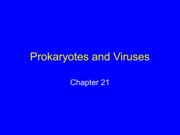 Prokaryotes, Viruses, and Protistans